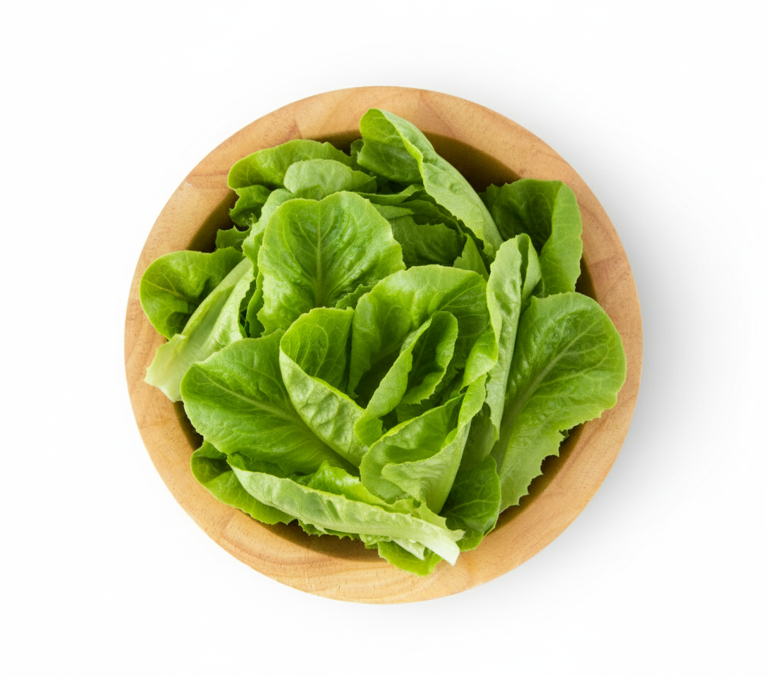 Butterhead Green Lettuce