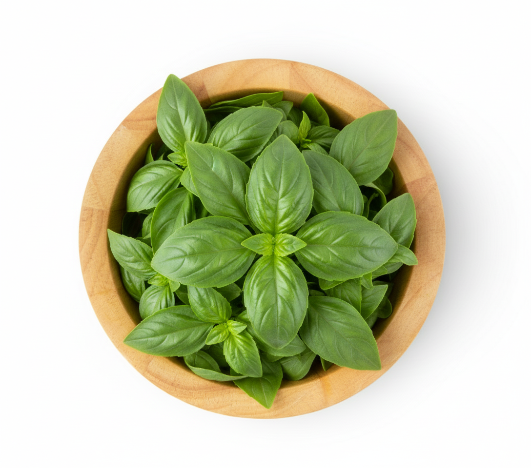 Sweet Basil