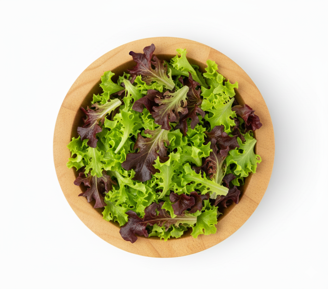 Gourmet Mix (Lollo Bionda, Oakleaf Red)