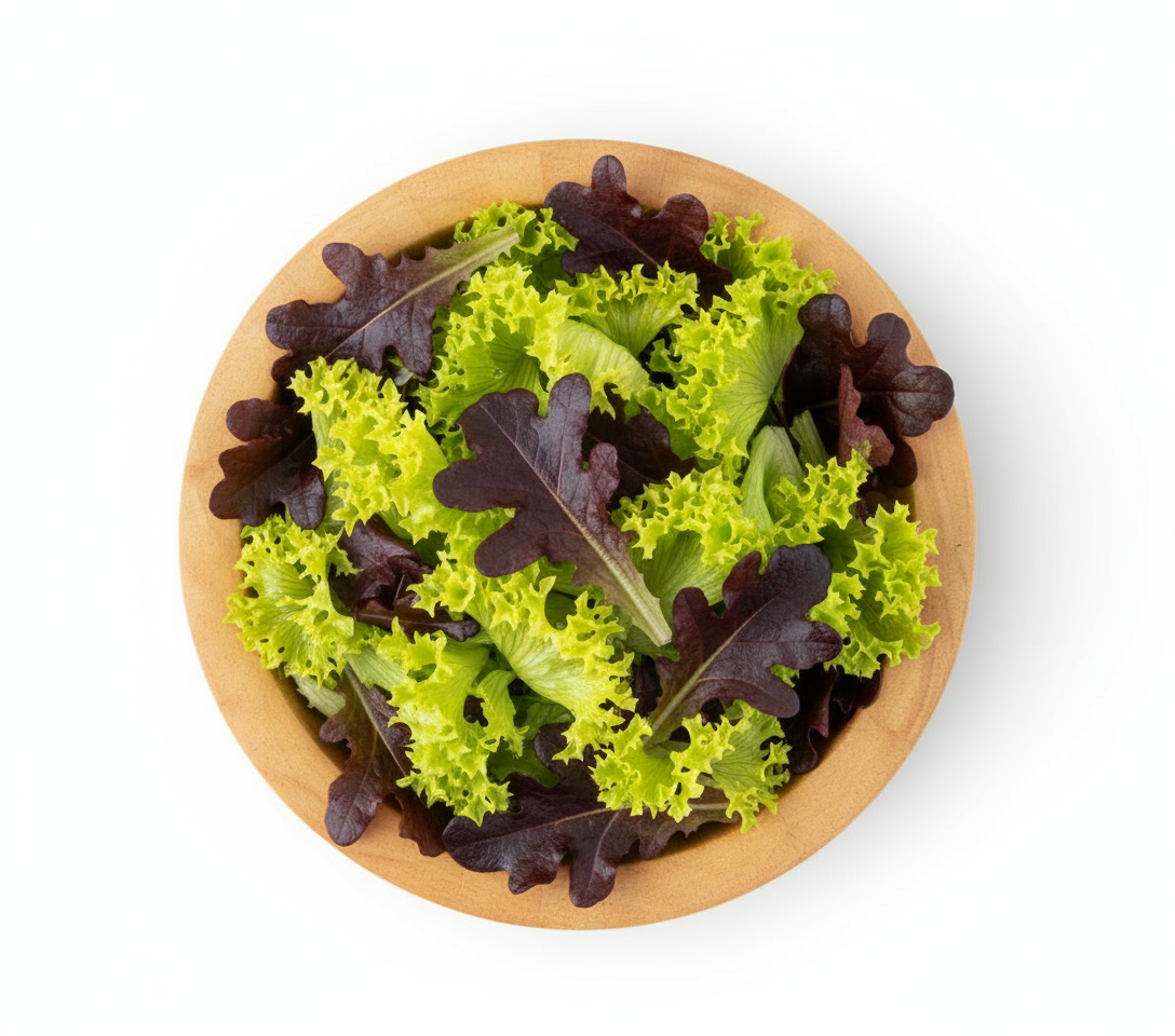 Green Salad Mix (Lollo Bionda, Lollo Rosso, Oakleaf Red)