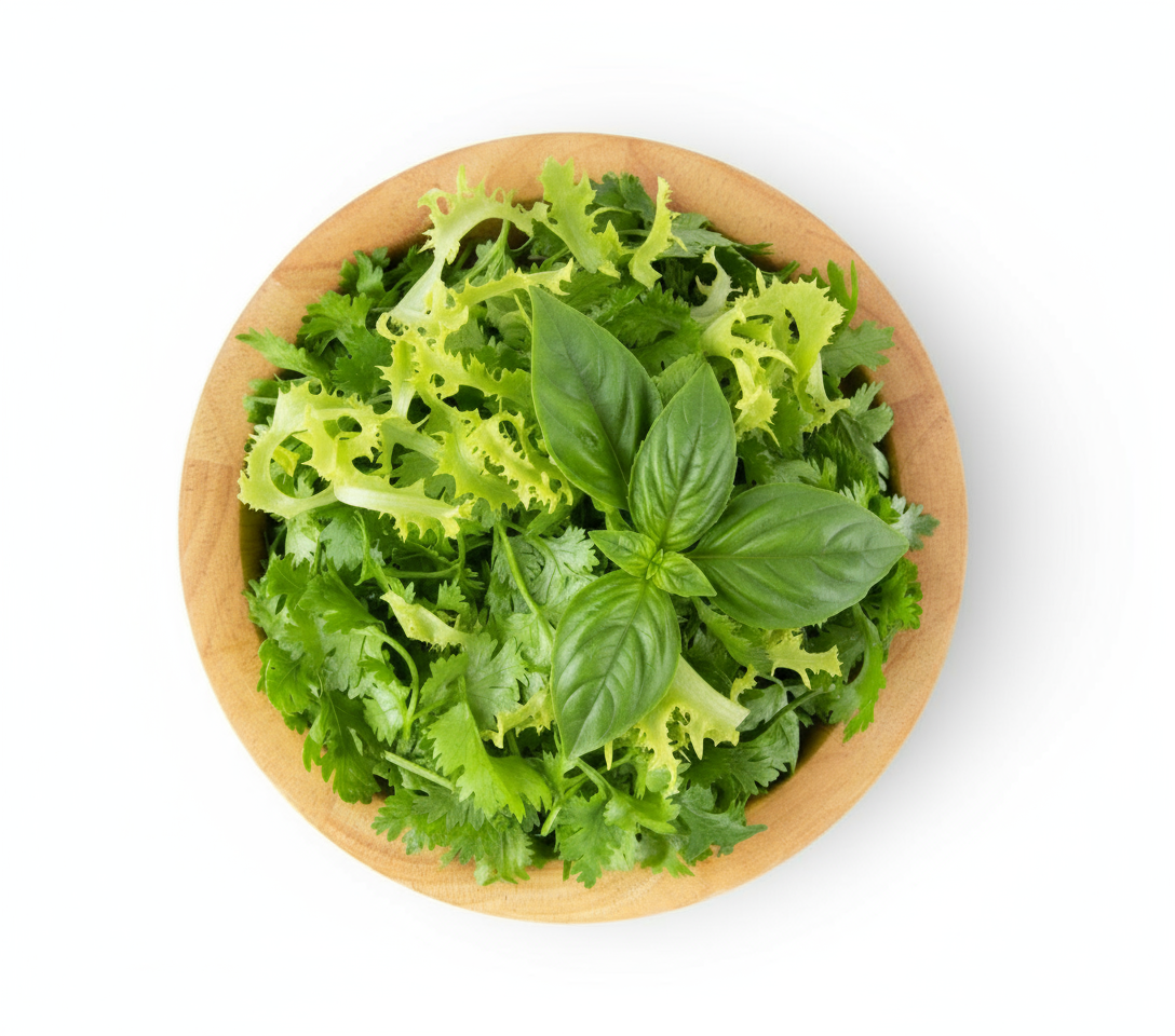 Herbal Harmony (Lollo Bionda, Sweet Basil, Coriander)