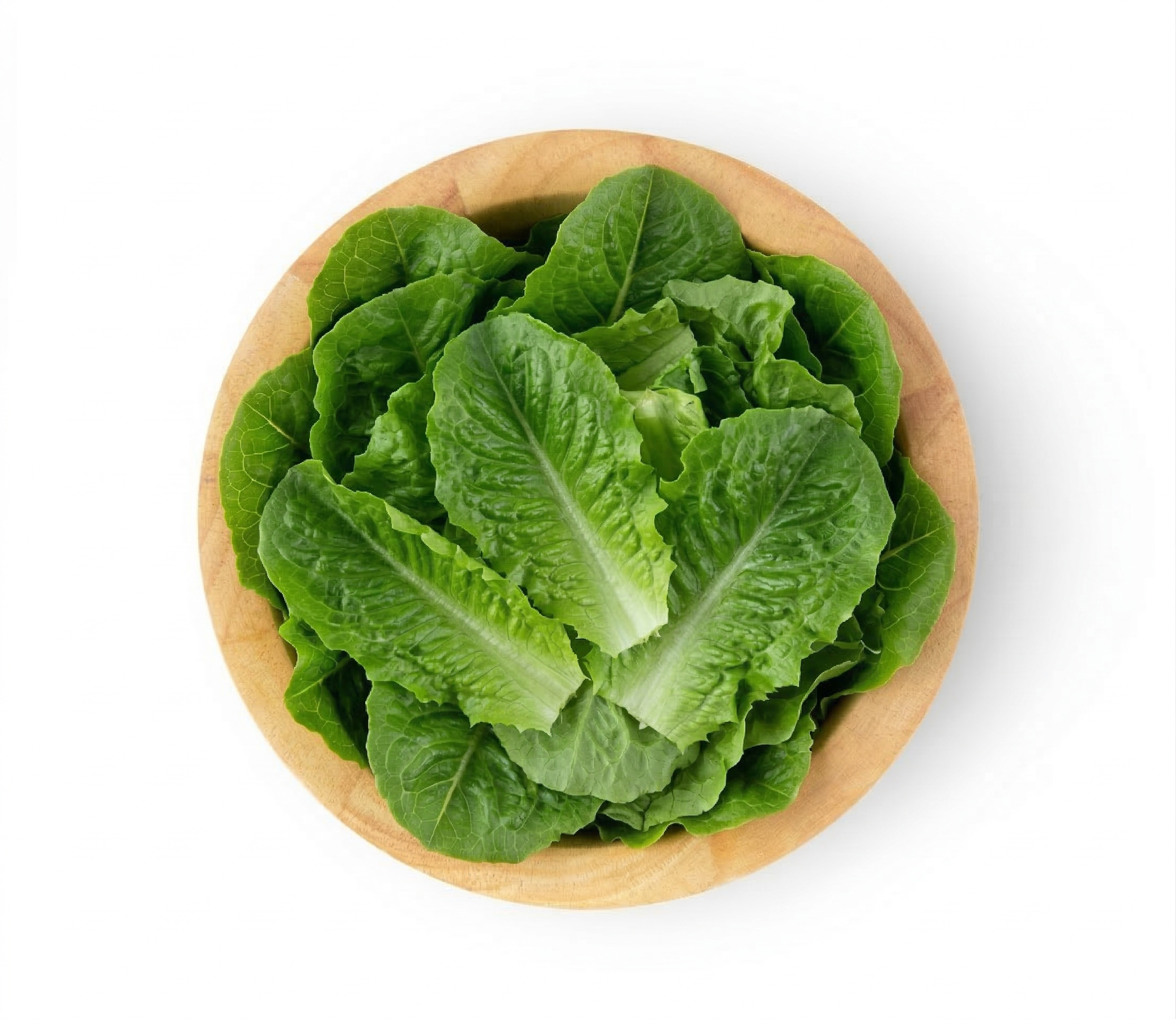 Romaine Lettuce